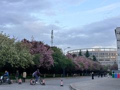 -西安外国语大学(长安校区)