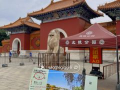 -北陵公园