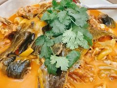 -洞庭家宴·头牌甲鱼(广渠门店)