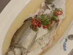 -宝燕壹号(徐汇店)