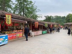 -秀丽东方