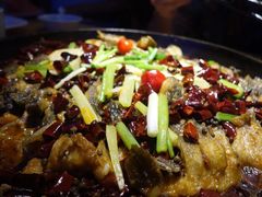 -老板恋上鱼(印象城店)