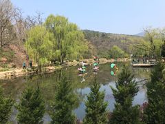 -棒棰岛宾馆景区