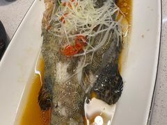 清蒸石斑鱼-会宾园·云山宴中餐