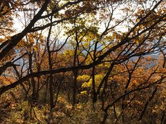 -白草畔自然风景区