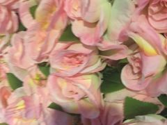 -杭州张苍水先生祠