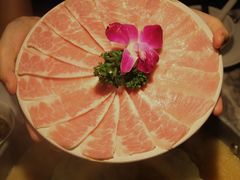 -禄婶鸡煲·打边炉
