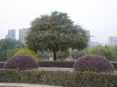 -重庆彩云湖湿地公园