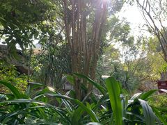 -海口观澜湖火山温泉谷