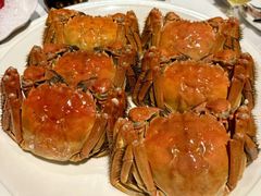 -南麓·浙里(外滩店)