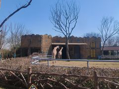 -扬州市茱萸湾风景区