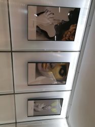 -崇尚GAVIN STYLE臻选