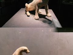 -大同市博物馆