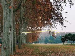 -河南省黄河迎宾馆