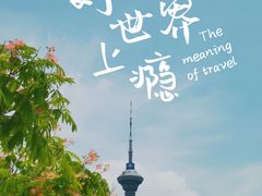 -天津水上公园