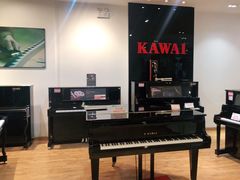 -柏斯琴行(汾阳店)