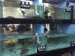 -莲花公园煎蟹(总店)