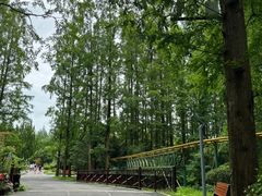 -东平国家森林公园