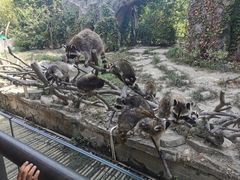 -宁波野生动物园
