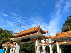 -深圳仙湖植物园