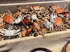 -初色海鲜自助(万丰路店)