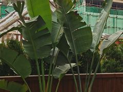 -云里小坐·小院里·团建·宴请·下午茶(三圣乡店)