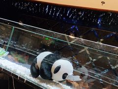 -红辣椒·川菜·火锅(张杨路店)