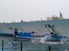 -秦皇岛新澳海底世界