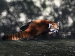 -昆明动物园