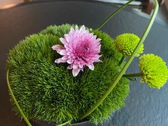 -淮香国色·淮扬菜(正大中心店)