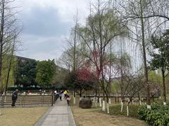 -沐仙湖湿地公园