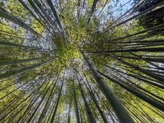 -竹泉村旅游度假区