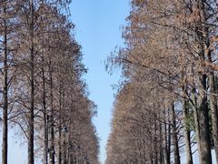 -东湖生态旅游风景区