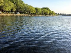-丁香湖公园