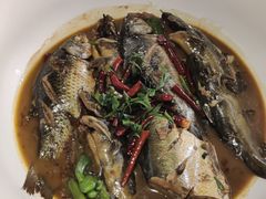 -食为先庐畔渔歌(合作化路店)