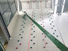 -绿壁虎攀岩基地(Tcar店)