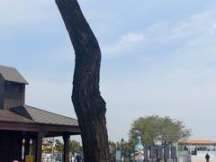 -北戴河碧螺塔海上酒吧公园