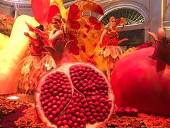 -拉斯维加斯永利酒店