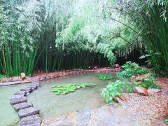 -竹泉村旅游度假区