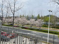 -宝荣鱼馆·临湖之宴(千岛湖店)