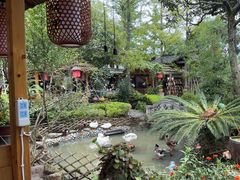 -青城甲(青城山店)