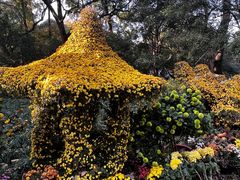 -杭州植物园