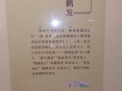 -旅顺博物馆