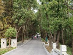 -同里国家湿地公园