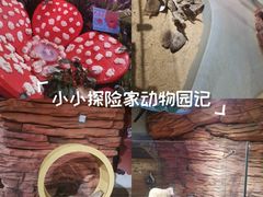 -正佳雨林生态植物园