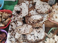 -南坛综合农贸市场