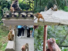 -黔灵山公园