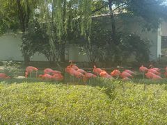 -石家庄市动物园