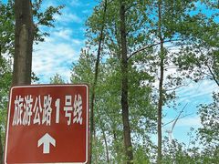 -黄海国家森林公园