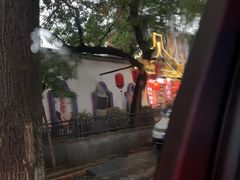 -潮汕三宝鲜牛肉火锅